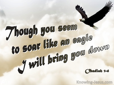Obadiah 1:4 Though You Soar Like An Eagle Your Will Be brought Down (brown)